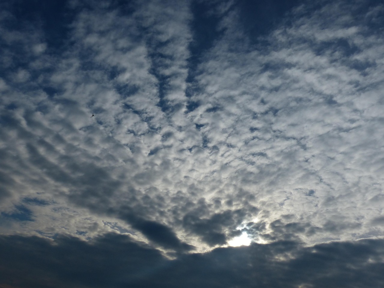 altocumulus